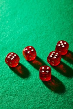 Live dealer tables available to bolang togel VIP members